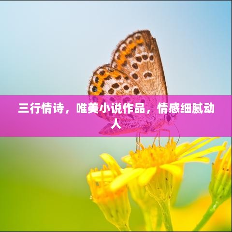 三行情诗，唯美小说作品，情感细腻动人