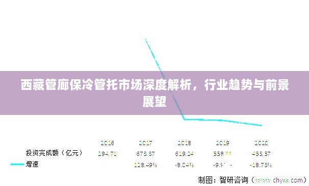 西藏管廊保冷管托市场深度解析，行业趋势与前景展望