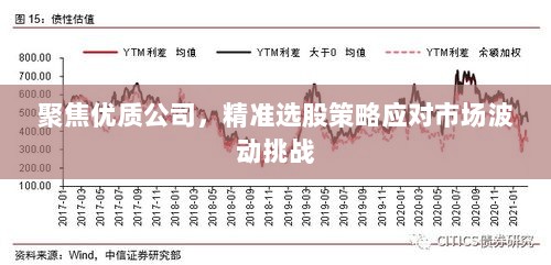 聚焦优质公司，精准选股策略应对市场波动挑战