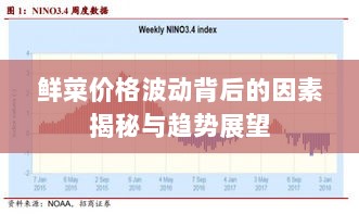 鲜菜价格波动背后的因素揭秘与趋势展望