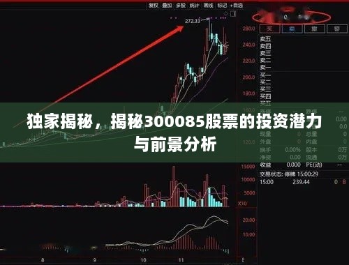 独家揭秘，揭秘300085股票的投资潜力与前景分析