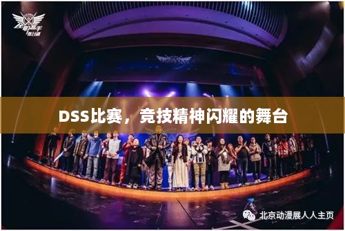 DSS比赛，竞技精神闪耀的舞台