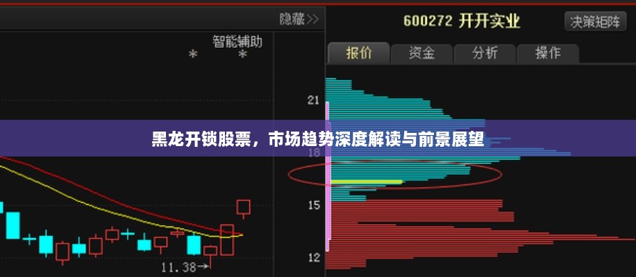 黑龙开锁股票，市场趋势深度解读与前景展望