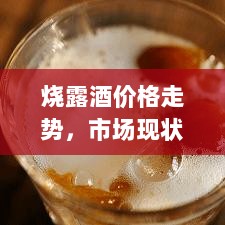 烧露酒价格走势，市场现状深度剖析与未来趋势预测