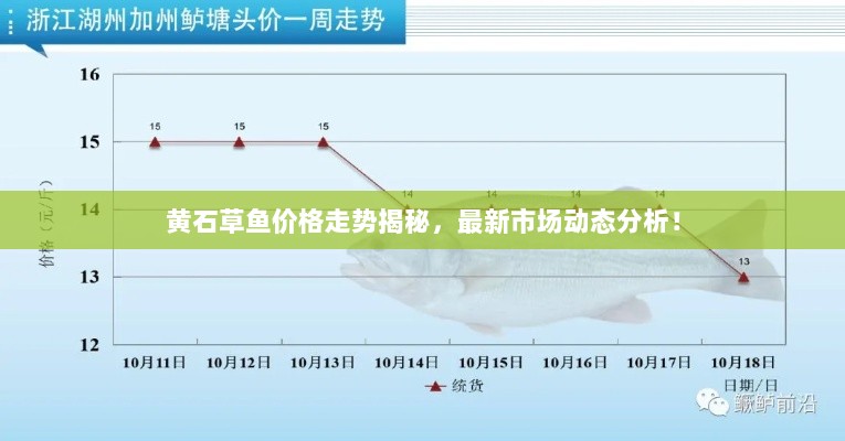 黄石草鱼价格走势揭秘，最新市场动态分析！