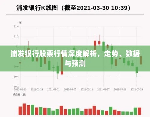 浦发银行股票行情深度解析，走势、数据与预测