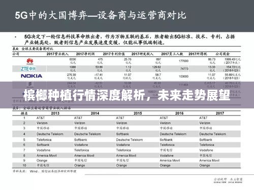 槟榔种植行情深度解析，未来走势展望