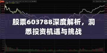 股票603788深度解析，洞悉投资机遇与挑战