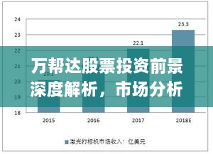 万帮达股票投资前景深度解析，市场分析与发展趋势一网打尽！