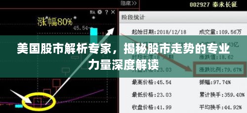 美国股市解析专家，揭秘股市走势的专业力量深度解读