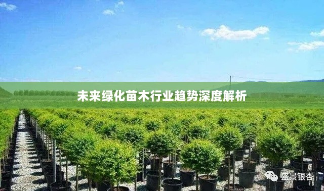 未来绿化苗木行业趋势深度解析