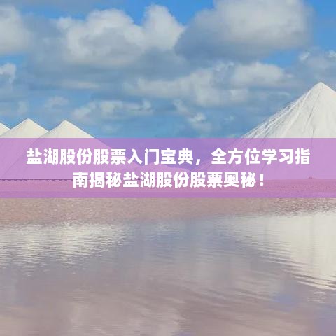 盐湖股份股票入门宝典，全方位学习指南揭秘盐湖股份股票奥秘！