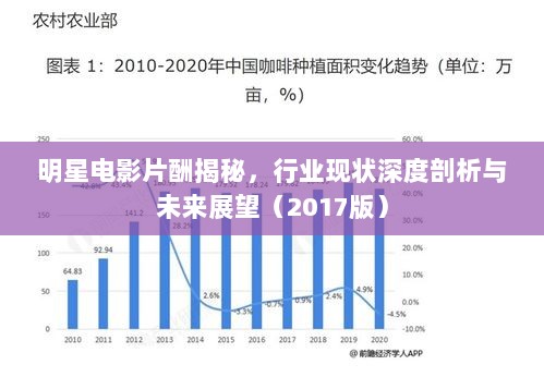 明星电影片酬揭秘，行业现状深度剖析与未来展望（2017版）