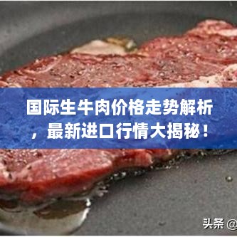 国际生牛肉价格走势解析，最新进口行情大揭秘！