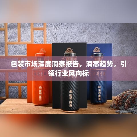 包装市场深度洞察报告，洞悉趋势，引领行业风向标