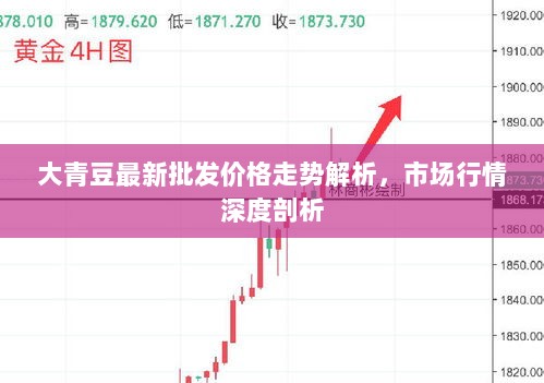 大青豆最新批发价格走势解析，市场行情深度剖析