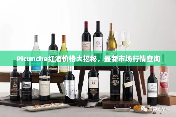 Picunche红酒价格大揭秘，最新市场行情查询