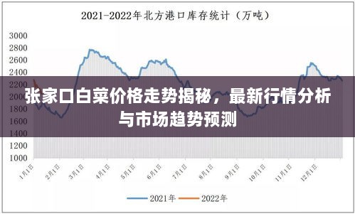 张家口白菜价格走势揭秘，最新行情分析与市场趋势预测