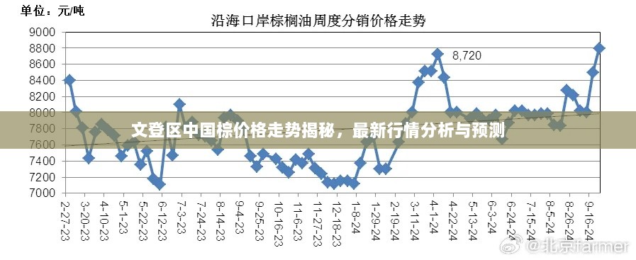 文登区中国棕价格走势揭秘，最新行情分析与预测