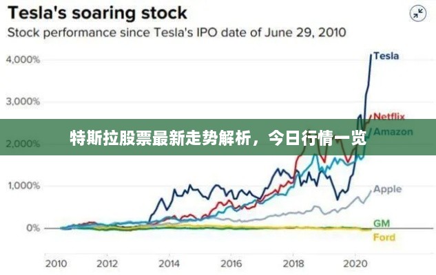 特斯拉股票最新走势解析，今日行情一览