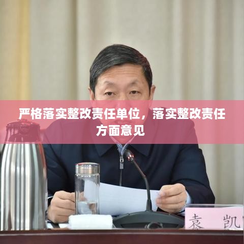 严格落实整改责任单位，落实整改责任方面意见 