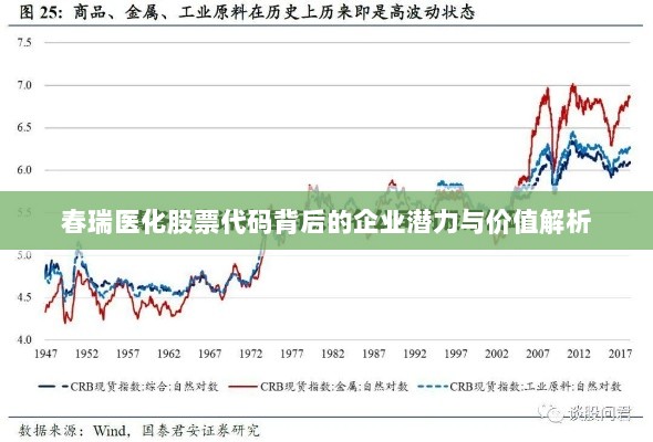 春瑞医化股票代码背后的企业潜力与价值解析