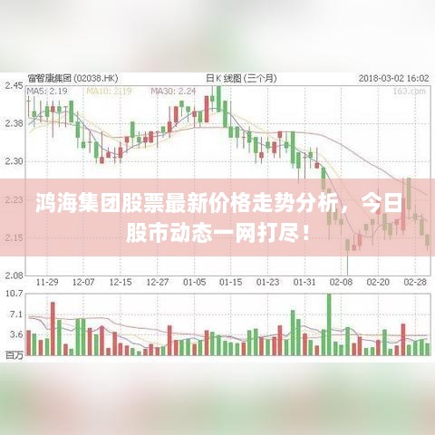 鸿海集团股票最新价格走势分析，今日股市动态一网打尽！