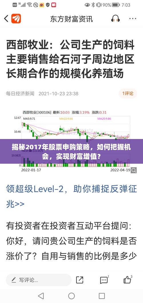 揭秘2017年股票申购策略，如何把握机会，实现财富增值？