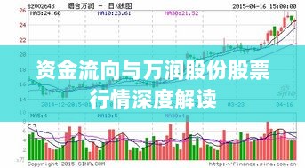 资金流向与万润股份股票行情深度解读