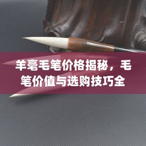 羊毫毛笔价格揭秘，毛笔价值与选购技巧全解析