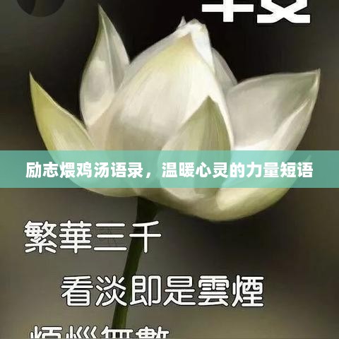 励志煨鸡汤语录，温暖心灵的力量短语