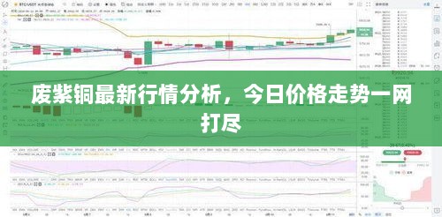 废紫铜最新行情分析，今日价格走势一网打尽