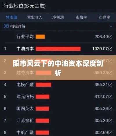 股市风云下的中油资本深度剖析