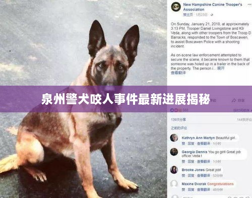 泉州警犬咬人事件最新进展揭秘