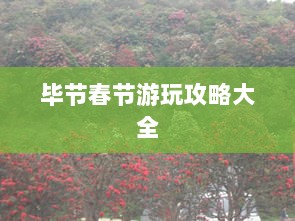 毕节春节游玩攻略大全