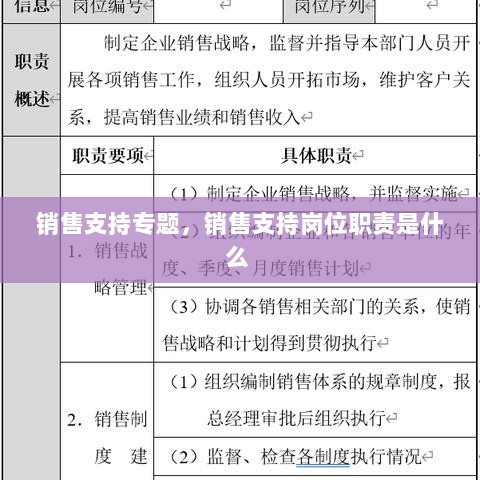 销售支持专题，销售支持岗位职责是什么 