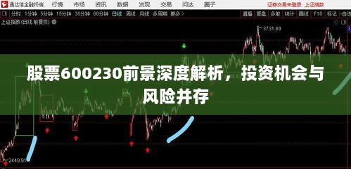 股票600230前景深度解析，投资机会与风险并存