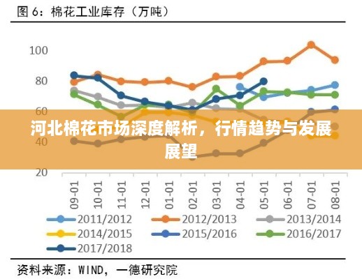 河北棉花市场深度解析，行情趋势与发展展望