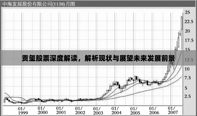 贡玺股票深度解读，解析现状与展望未来发展前景