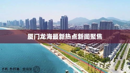 厦门龙海最新热点新闻聚焦