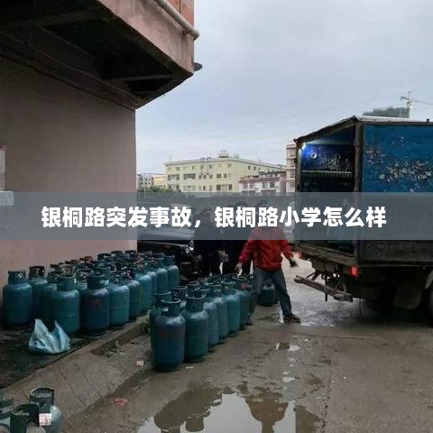 银桐路突发事故，银桐路小学怎么样 