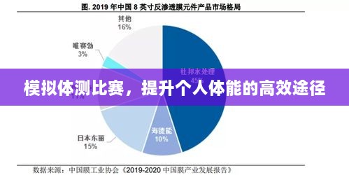 模拟体测比赛，提升个人体能的高效途径