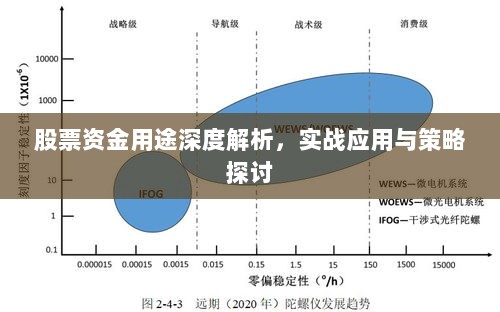 股票资金用途深度解析，实战应用与策略探讨