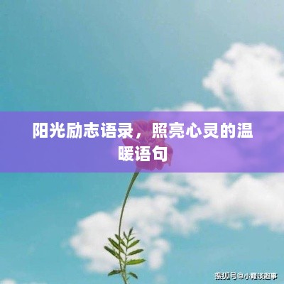 阳光励志语录，照亮心灵的温暖语句