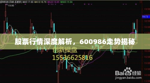 股票行情深度解析，600986走势揭秘