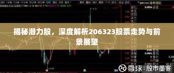 揭秘潜力股，深度解析206323股票走势与前景展望