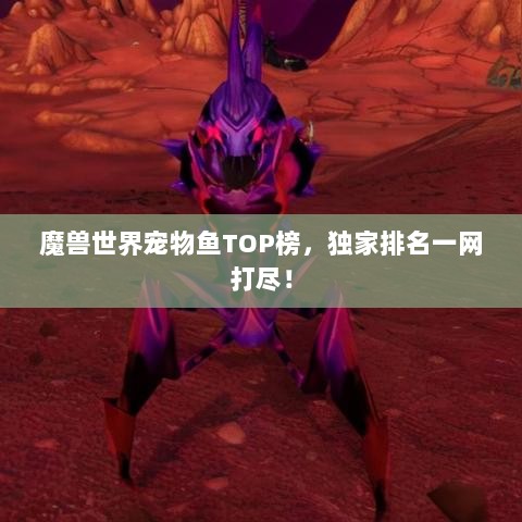 魔兽世界宠物鱼TOP榜，独家排名一网打尽！