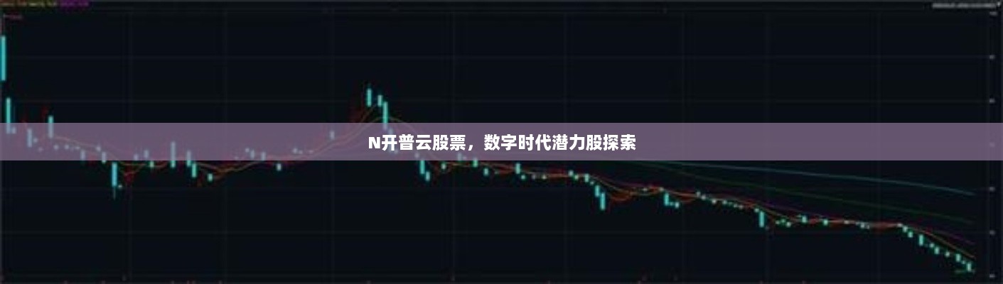 N开普云股票，数字时代潜力股探索