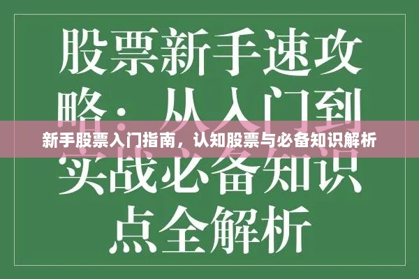 新手股票入门指南，认知股票与必备知识解析