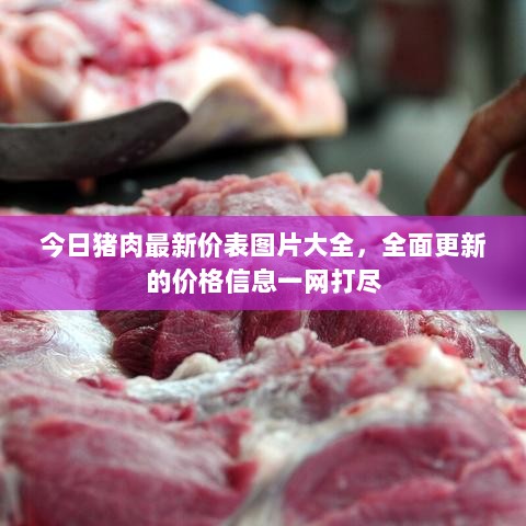 今日猪肉最新价表图片大全，全面更新的价格信息一网打尽